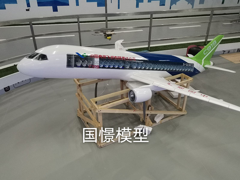 浮梁县飞机模型